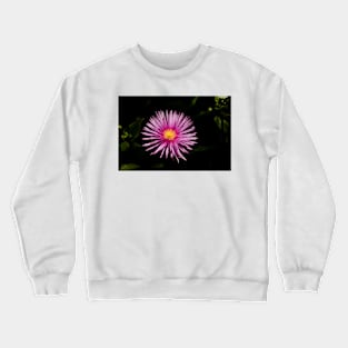 cli lavender Crewneck Sweatshirt
